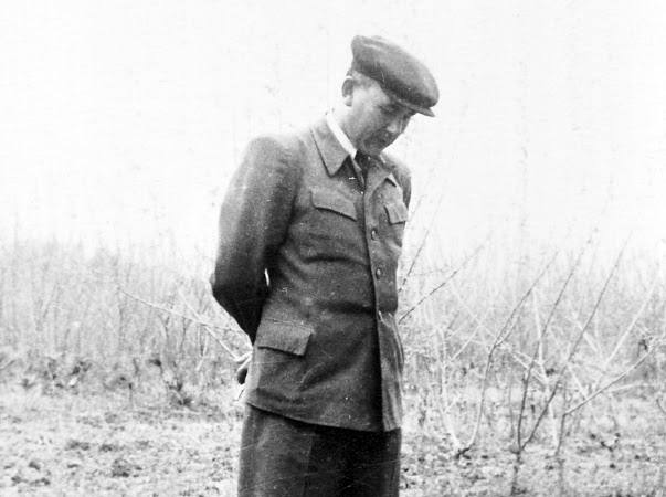 Walking through fields