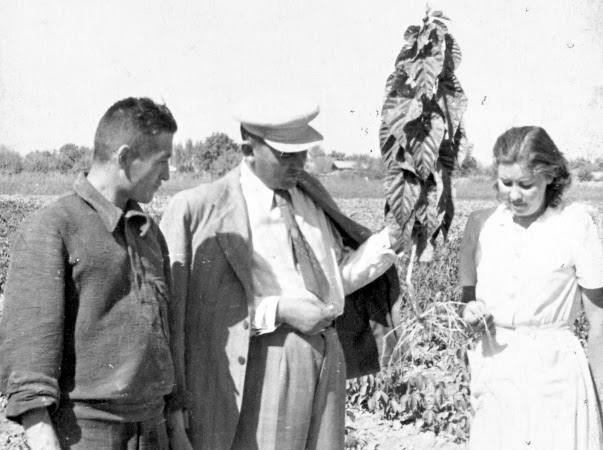 In the field with students